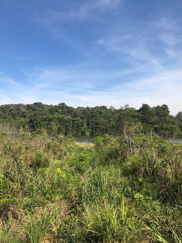 Chácara no RIACHO GRANDE fundos para Represa. PARCELADO - Foto 8