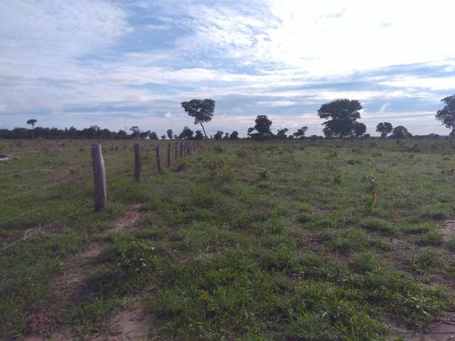 110 Alq. Cocalinho-MT. {Fazenda Diferenciada} R$ 3,5 Milhões - Foto 6