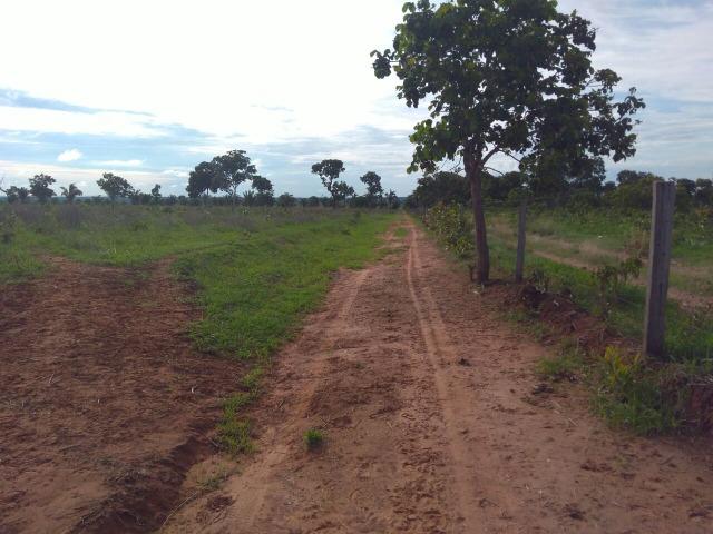 110 Alq. Cocalinho-MT. {Fazenda Diferenciada} R$ 3,5 Milhões - Foto 9