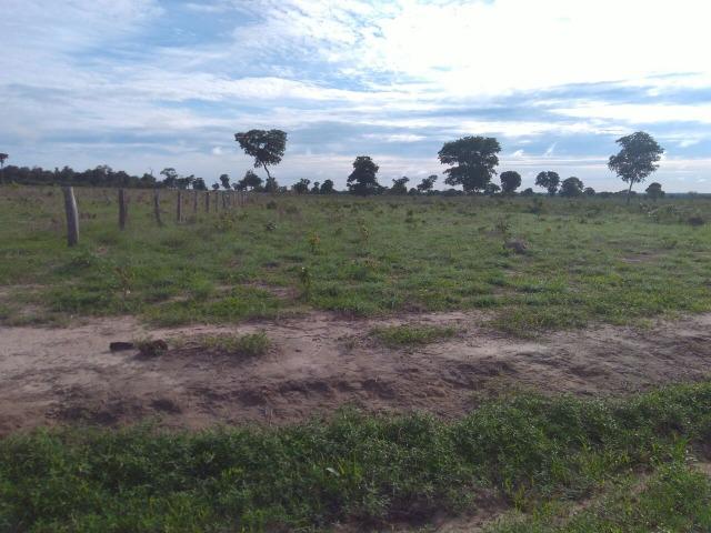 110 Alq. Cocalinho-MT. {Fazenda Diferenciada} R$ 3,5 Milhões - Foto 10