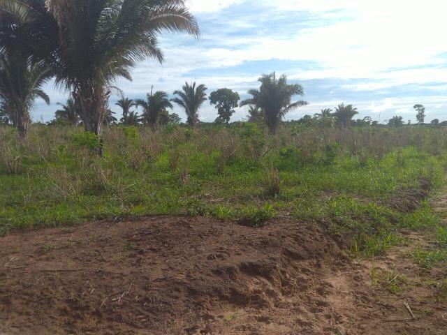 110 Alq. Cocalinho-MT. {Fazenda Diferenciada} R$ 3,5 Milhões - Foto 13