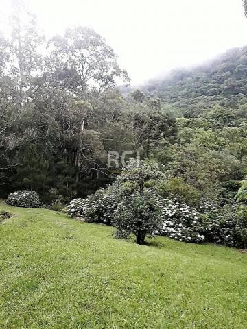 Sítio à venda em Zona rural, São francisco de paula cod:LI50877651 - Foto 19