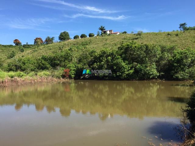 Fazenda à venda - 80 hectares - lavras (mg) - Foto 3