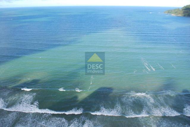 Apartamento para alugar com 5 dormitórios em Centro, Balneário camboriú cod:5006_1403