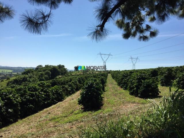 Fazenda à venda - 80 hectares - lavras (mg) - Foto 2