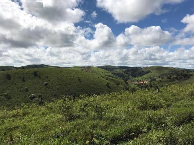 Vende-se Fazenda 425,98 ha no Extremo Sul da Bahia - Itanhém - Foto 5