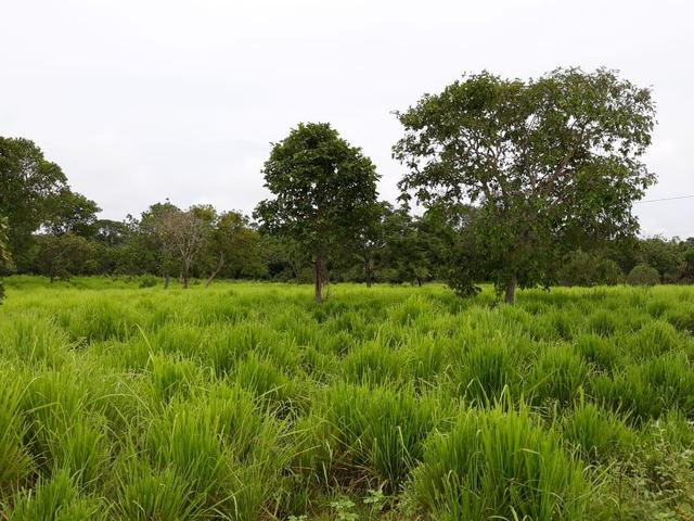 Permuta 100% em imóveis em Goiânia - Foto 9