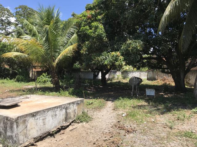 Casa 3 quartos frente ao mar - Bom Jesus - Foto 7