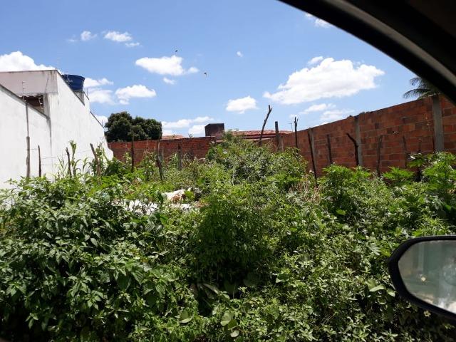 Terreno - Foto 2