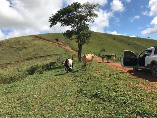 Vende-se Fazenda 425,98 ha no Extremo Sul da Bahia - Itanhém - Foto 9