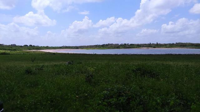 Fazenda em Itarema 386 hectares plantados de cajueiros,lagoa,poço,rio na extrema - Foto 7