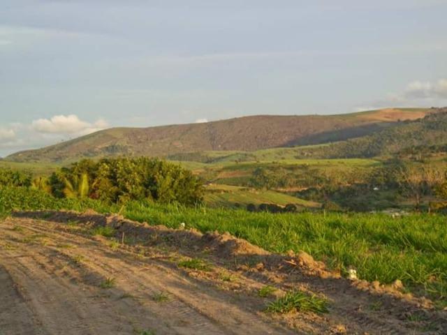 Lotes a partir de 300 m² em Chã Grande - Clima de Montanha - Foto 10