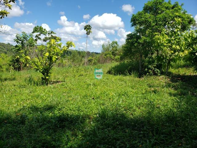 Ibirapitanga. Fazenda pequena com área de 12 ha - Foto 13