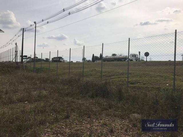 Área para locação, Contorno Leste, São José dos Pinhais. - Foto 11