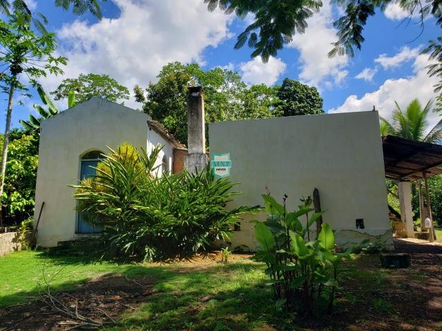 Ibirapitanga. Fazenda pequena com área de 12 ha