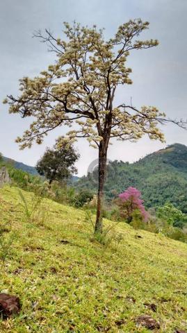 Fazenda com 313 ha região da serra de são vicente - Foto 11