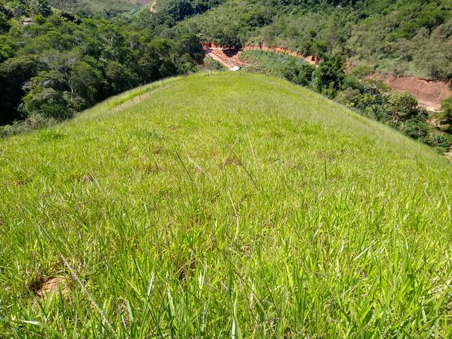 Fazendinha 10 Alqueires Santa Leopoldina - Foto 11