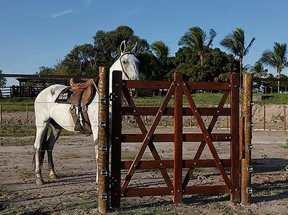 Sítio com 3.000m² em Condomínio Fechado