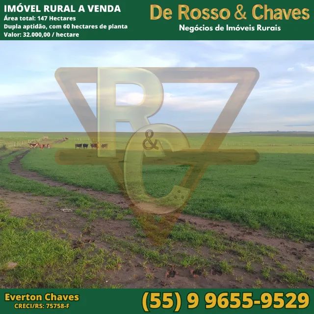 Imóveis Rurais - Compra - Venda - Arrendamento - Foto 4