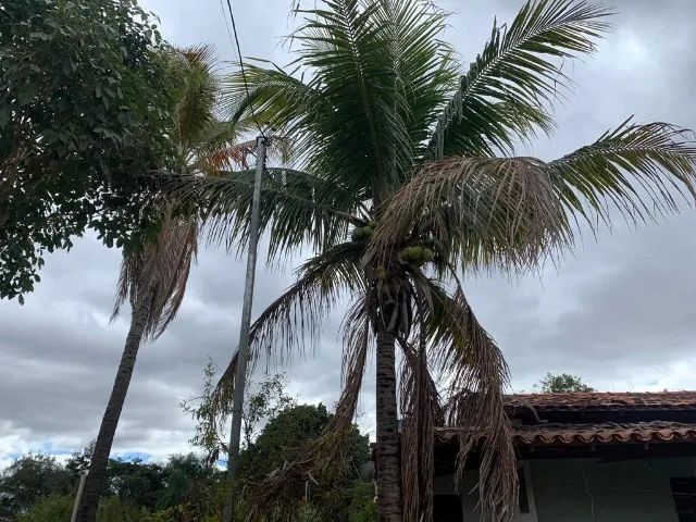 Sitio de 600m² com casa, próximo a Lagoa Santa, temos varias opções. - Foto 2