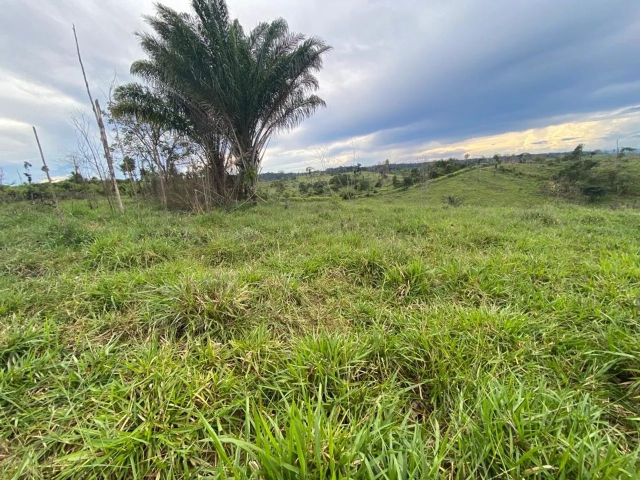 foto - Marabá - Velha Marabá