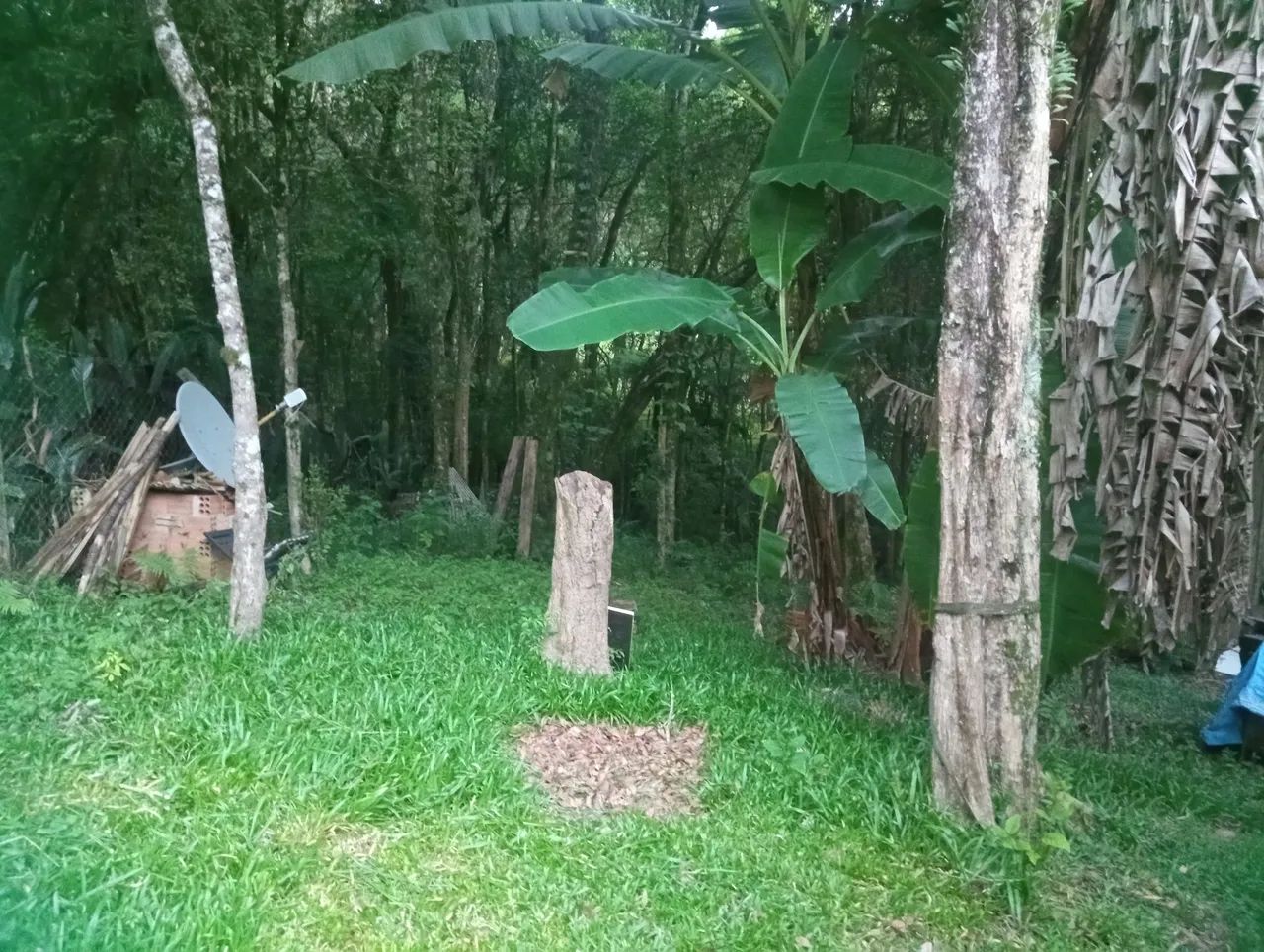 Oportunidade Chácara 1.200 m2 - Foto 4