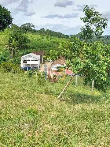 Vendo Fazenda com 385 Hectares - Foto 4