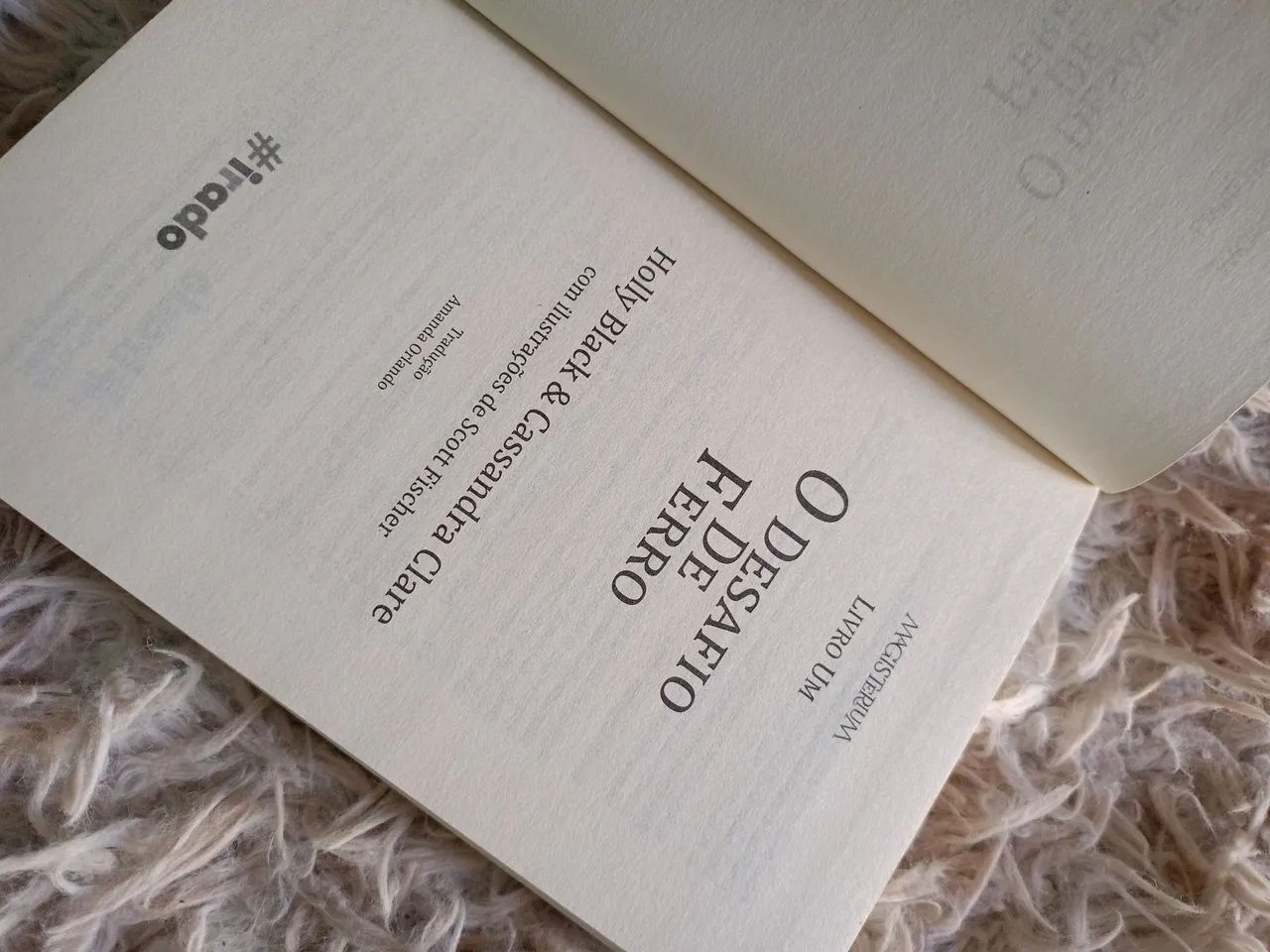 LIVRO: O Desafio de Ferro - Foto 4