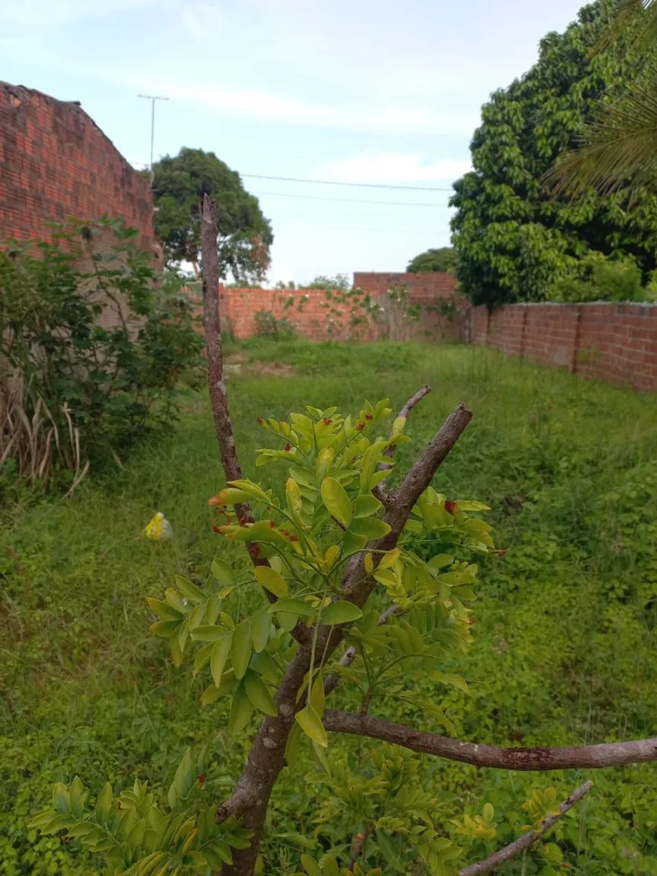 TERRENO PRA VENDER OU TROCAR EM MOTO DO MEU INTERESSE