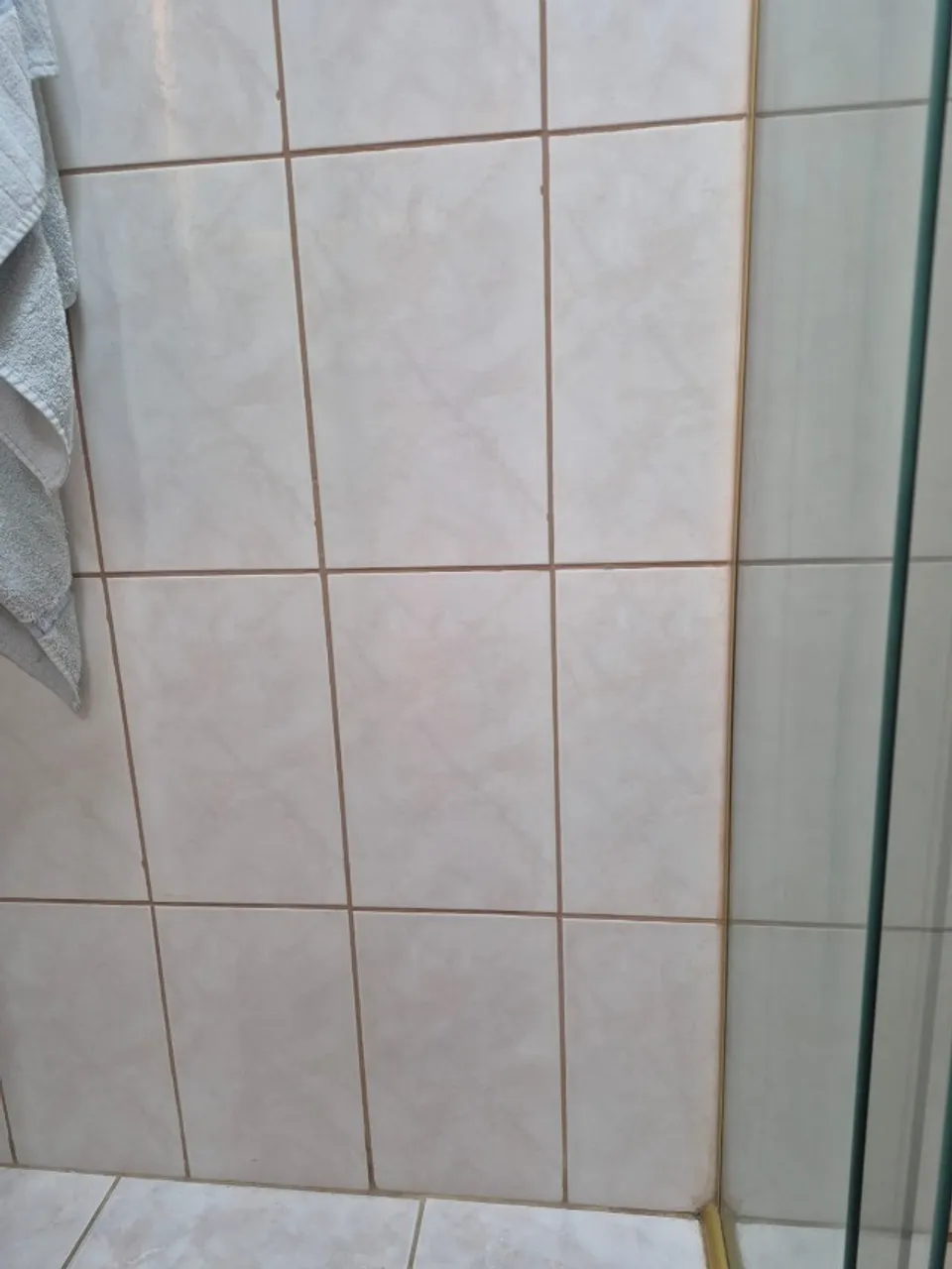 azulejo
