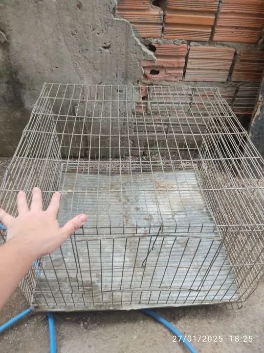 Gaiola de Aço para Animais Pequenos - Foto 2