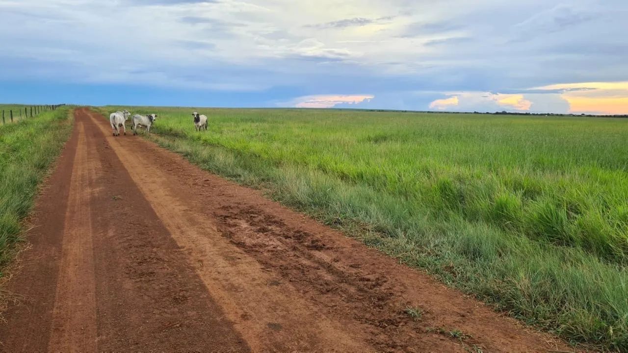 R$650 Milhões Fazenda de 20.600 hectares em Paranatinga-MT