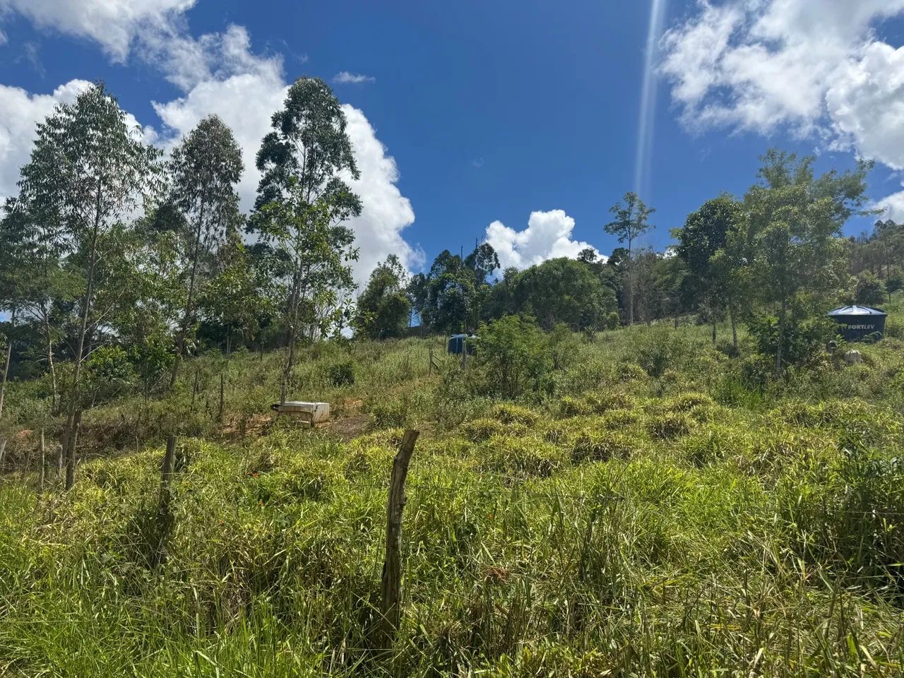 Terreno em área verde com vista espetacular - Foto 5