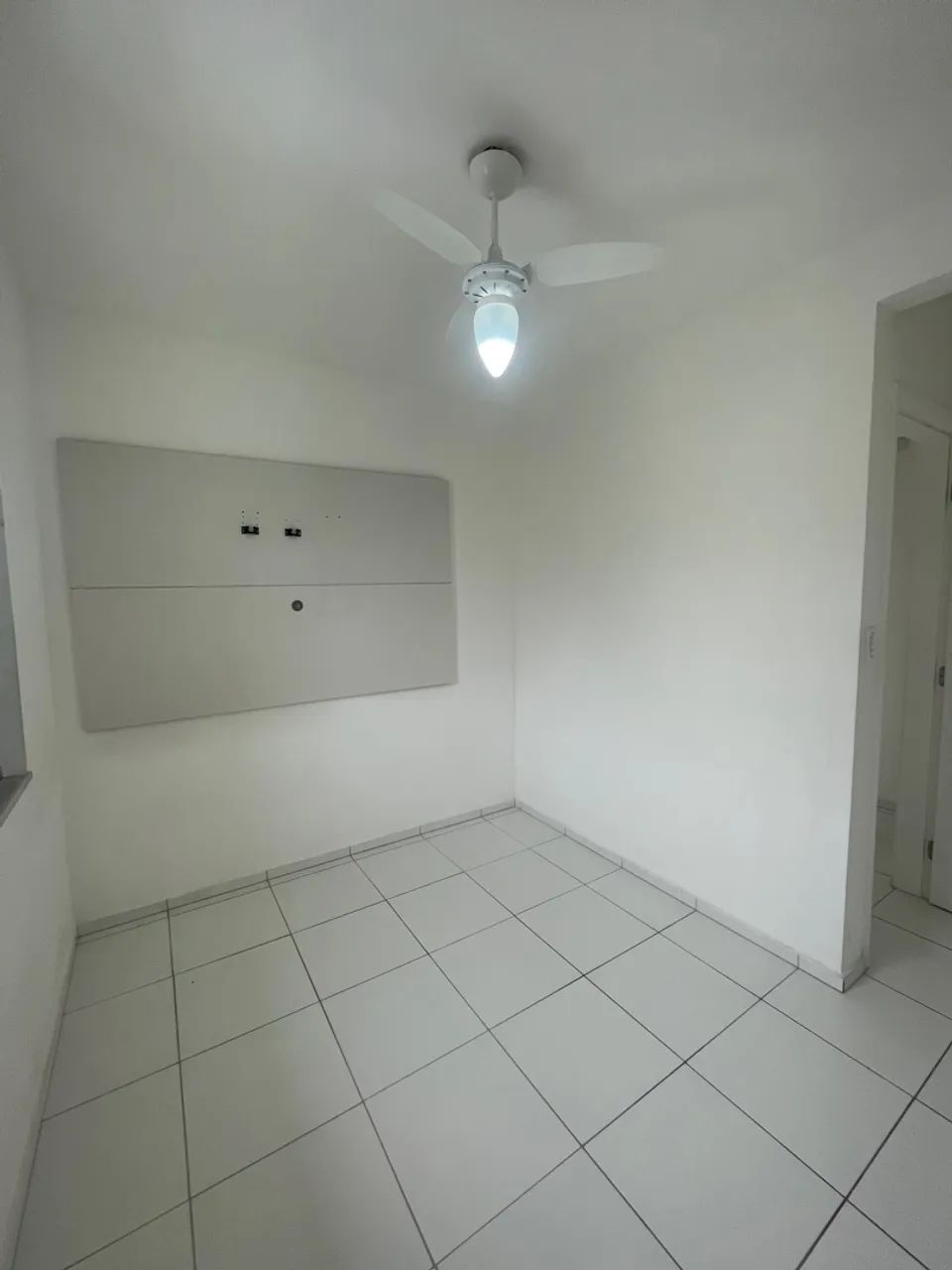 Foto - Feira de Santana - Papagaio