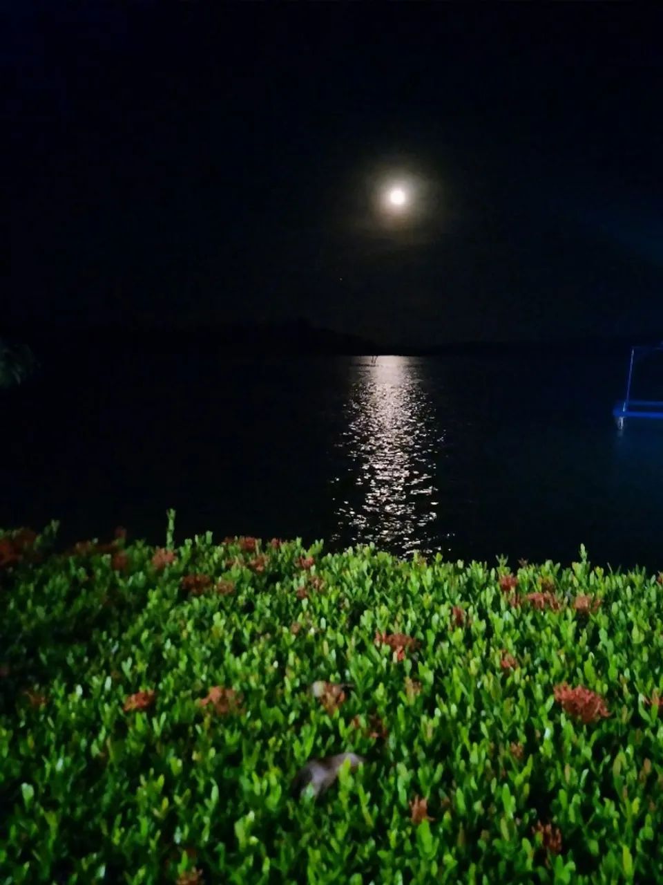 Vendo Ilha Paradisíaca no Lago de Tucuruí (acesso por Jacundá)  - Foto 10