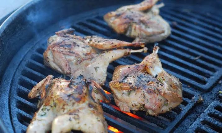 Codornas para churrasco ,vivas e abatido  - Foto 3