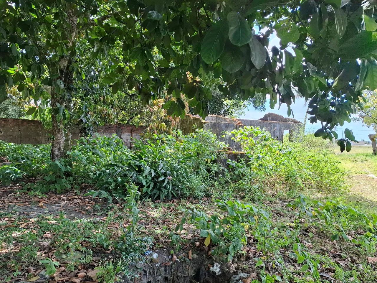 Foto - Rio Largo - 