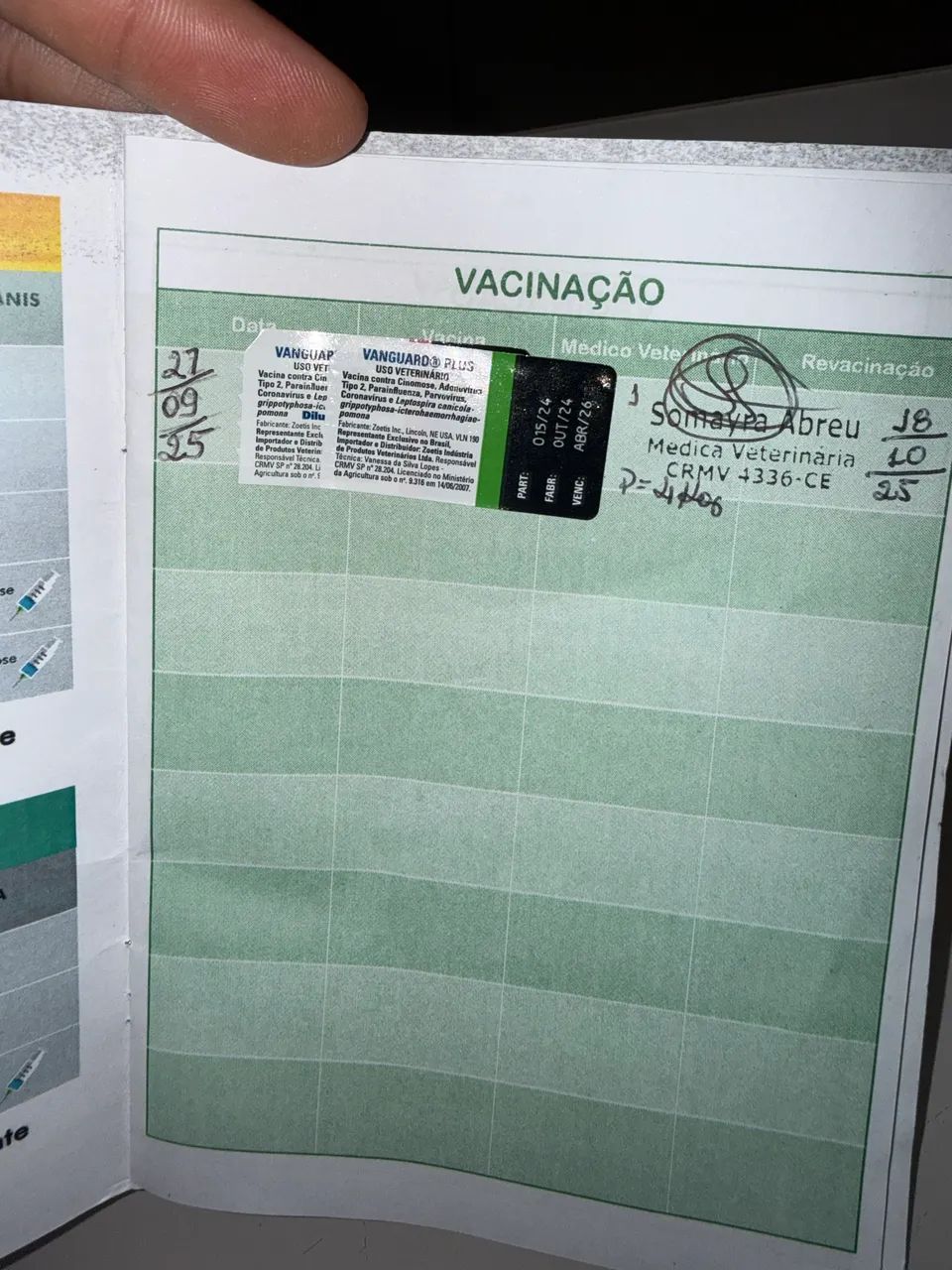 Goldem retriever 3 meses R$ 1.800 - Foto 2