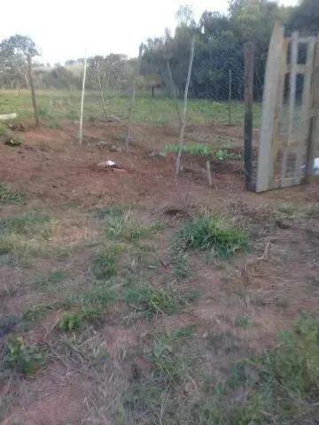 Sítio à venda, 2 quartos, MORADA NOVA - UBERLANDIA/MG - Foto 5