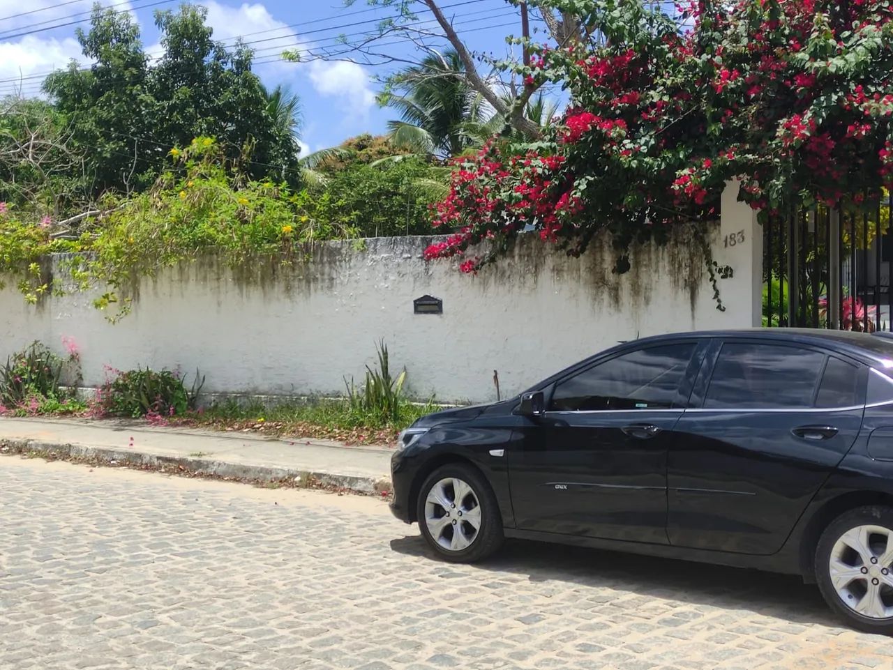 Excelente mini chacara - Foto 2