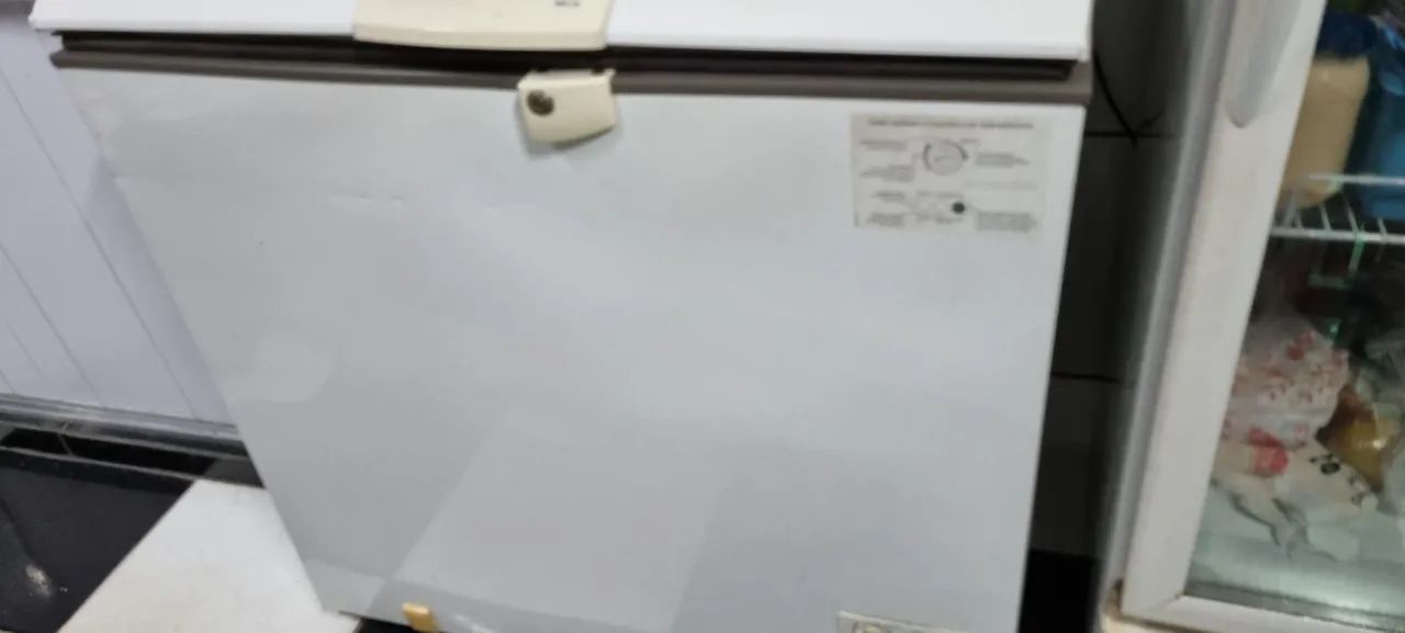 Freezer Consul horizontal 309l