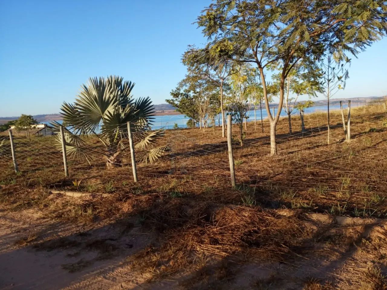 Terreno Área em Delfinópolis - Foto 2