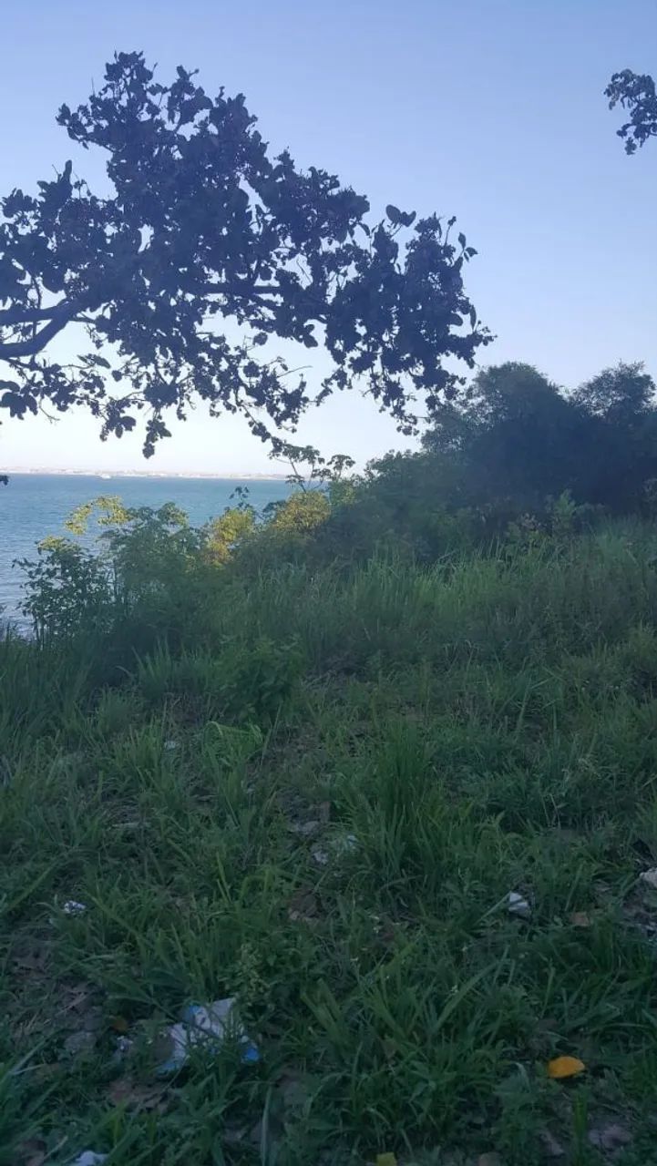 Terreno na ilha de bom despacho.
