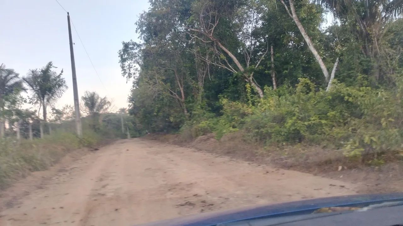 Ramal bela vista janoari 