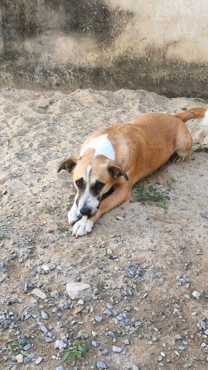 Doação  - Foto 3