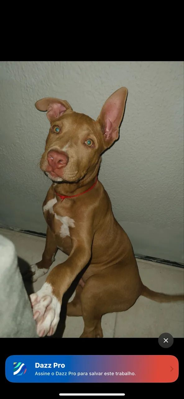 350$  - Foto 2