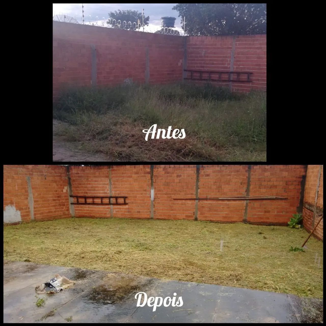 Roçagem em geral  - Foto 3