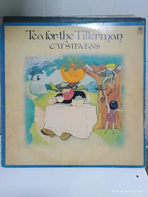  10 LONG PLAYS DE VINIL DE CAT STEVENS, SENDO UM RARIDADE. ALGUNS IMPORTADOS