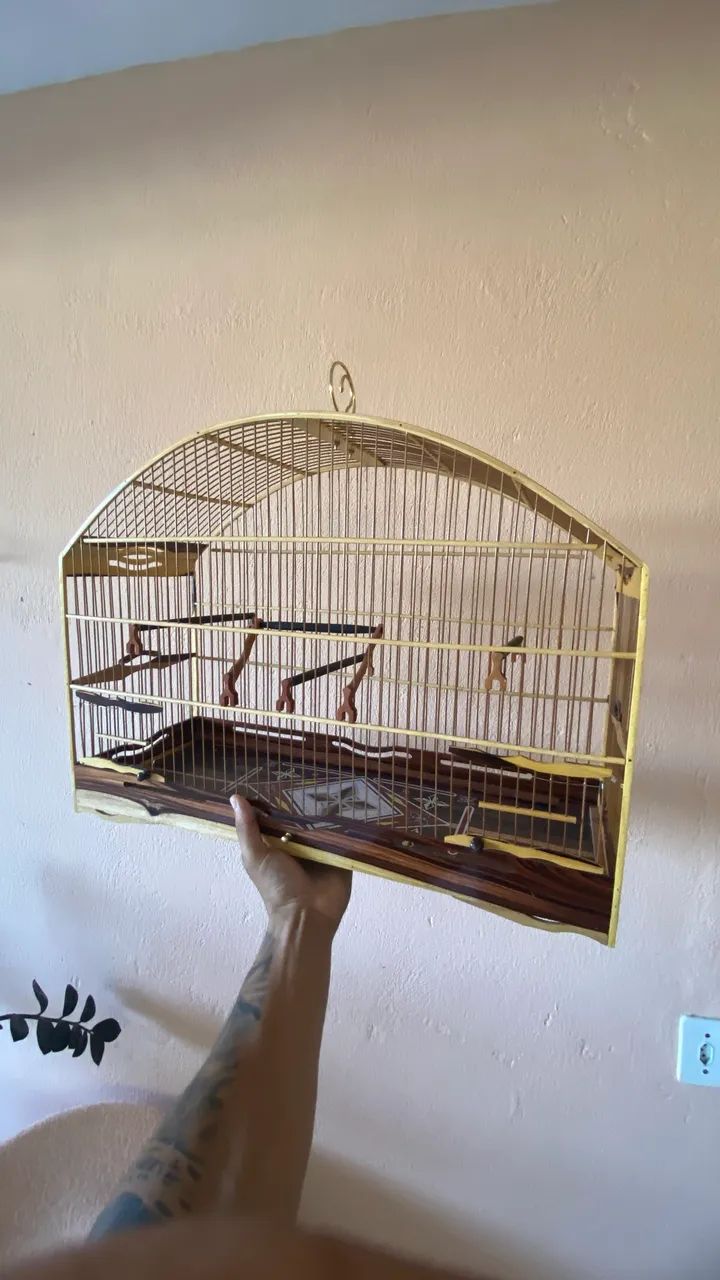 gaiola para passarinho 