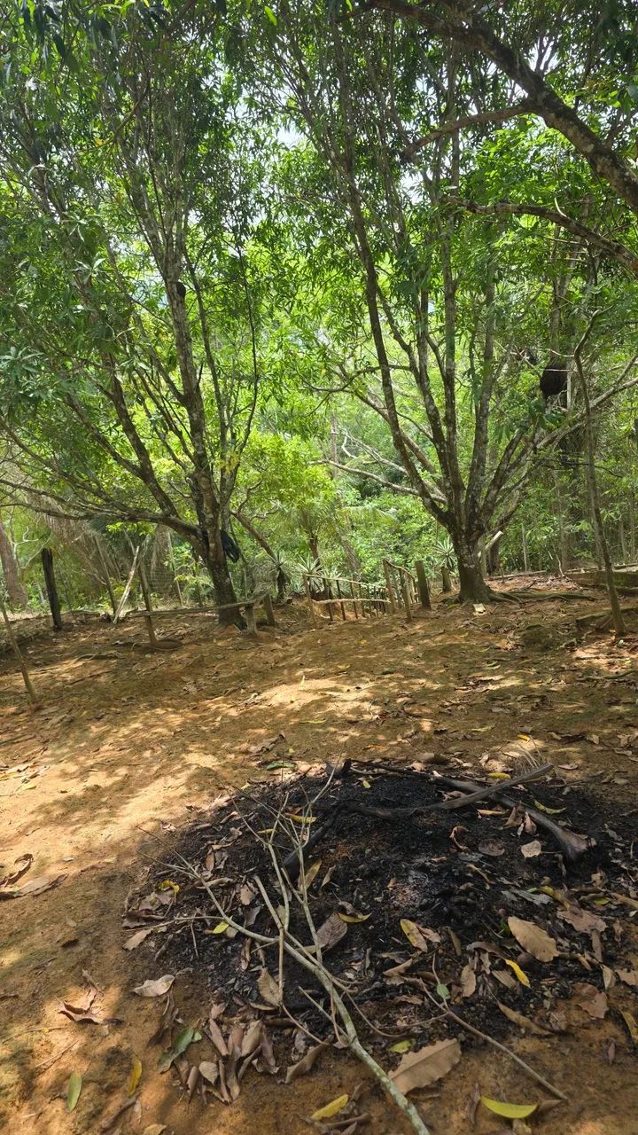 Chacara a Venda  - Foto 2